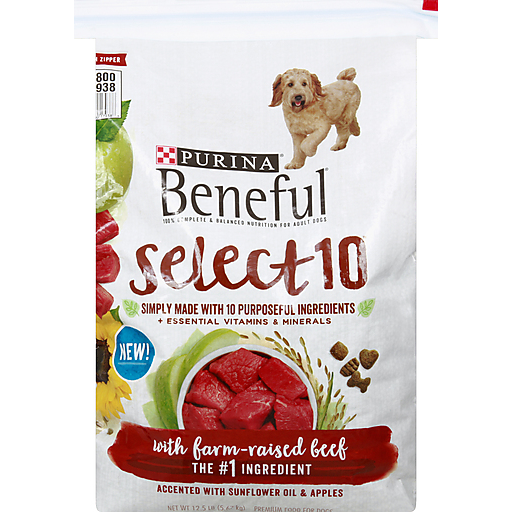 Ten dog fashion foods