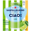 Sanpellegrino Lime Sparkling Water 6 Ea