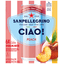 Sanpellegrino Peach Sparkling Water 6 Ea