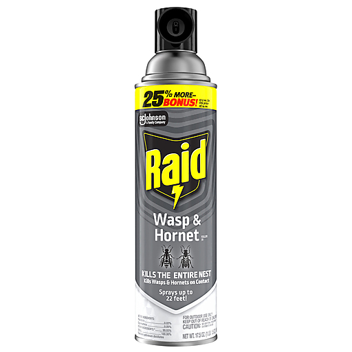 Raid Wasp & Hornet Killer 17.5 oz