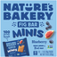 Nature's Bakery Blueberry Minis Fig Bar 10 Ea
