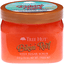 Tree Hut Shea Sugar Bikini Reef Scrub 18 Oz