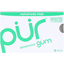 Pur Sugar Free Spearmint Gum 9 Ea