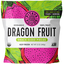 Pitaya Foods Organic Dragon Fruit 12 Oz