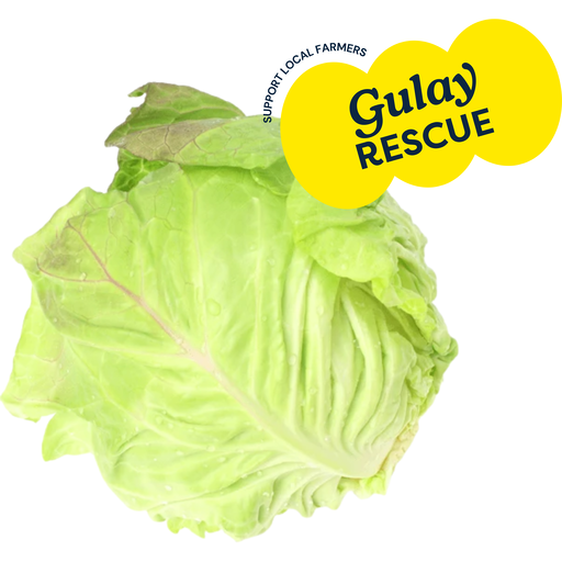 Fresh Repolyo (Cabbage) | kg | Fresh Vegetables | Walter Mart