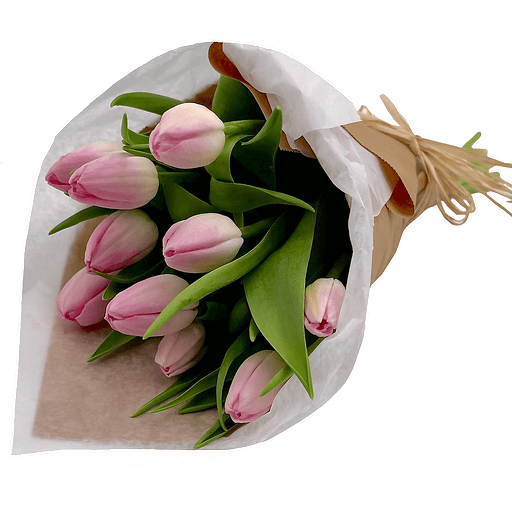 Northwest Grown Northwest Grown Tulips