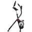 Proform Xbike Red