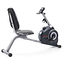 Weslo Recumbent Bike