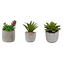 Faux Succulent Cement Pot Asst