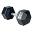 Rubber Dumbbell 45 Lb