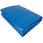 Sigman 8 X10 Blue Tarp