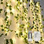 String Light Greeney 3 Pc Lights