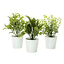Faux Plants 5.5 In 3 Pk