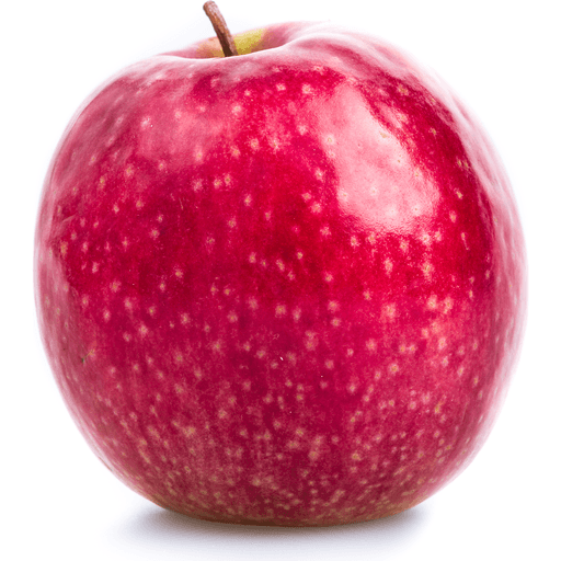 Raw Red Organic Pink Lady Apples Stock Photo - Download Image Now