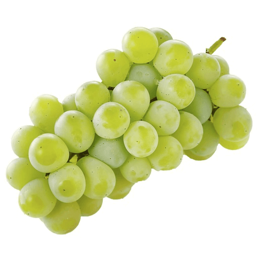Sweet Muscat Grapes